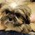 Linda Allen Nigma's profile image
