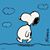 Mat Mccloskey's profile image