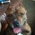 Nic J Loverde's profile image