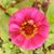 Kathleen McCullough's profile image