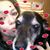 Kristin Brown's profile image