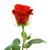 Julie Baumer's profile image