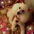 Katherine Eaton's profile image