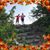 Kelly Freeman Miller's profile image