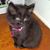 Kathy Schuberg's profile image