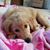 Jessica Martin Brunk's profile image