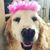 Nancy Vasquez's profile image