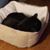 Dawn Roark-Carey's profile image