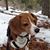 Jerry Varnell's profile image