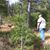 Gary Brent Hayes's profile image