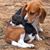 Paula Canali- Giannetta's profile image