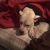 Jana Pea's profile image