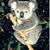 Sheila L Fish's profile image