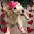 Donna Roth's profile image