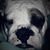Sabrina Shoup's profile image