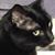 Heather Erickson's profile image