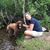 Carol Pallai's profile image