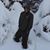 Robbie Schleufer's profile image