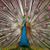 Kathy Welch's profile image