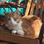 Rita Butzer Carpenter's profile image