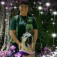 Angel Ketcham's profile image