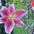 Barb Earich's profile image