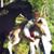 Louise Schintz-nelson's profile image