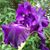 Gail Allen's profile image