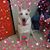 Beth Block Cole's profile image