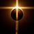 Rose Drage's profile image