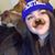 Tayler Hempel's profile image