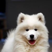 Lynn Van Buren's profile image