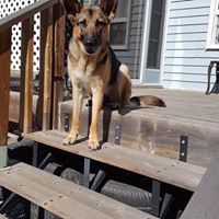 Jan Drutz's profile image