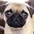 Thuan Nguyen's profile image