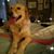 Patsy Swendson's profile image