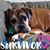 Kathy Napoleone-Perillo's profile image