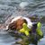 Barb Redlaczyk's profile image