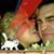 Simon Burke's profile image