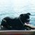 Robert Taylor's profile image