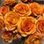 Sheryl Vaughn Hershberger's profile image