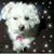 Ina Schlenz Tennison's profile image