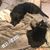 Amy Lynn Lonergan's profile image