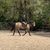 Nancy Arnold Jones's profile image