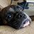 Jessi Neeley-Rucker's profile image