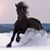 Gleanna MajesticWerm Tompkins's profile image