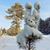 Susan LaShaw's profile image