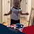 Brooke Silverthorn's profile image