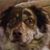 Guy Wiley's profile image