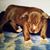 Jenny Gabbard's profile image