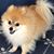 Judi Archer Rembold's profile image